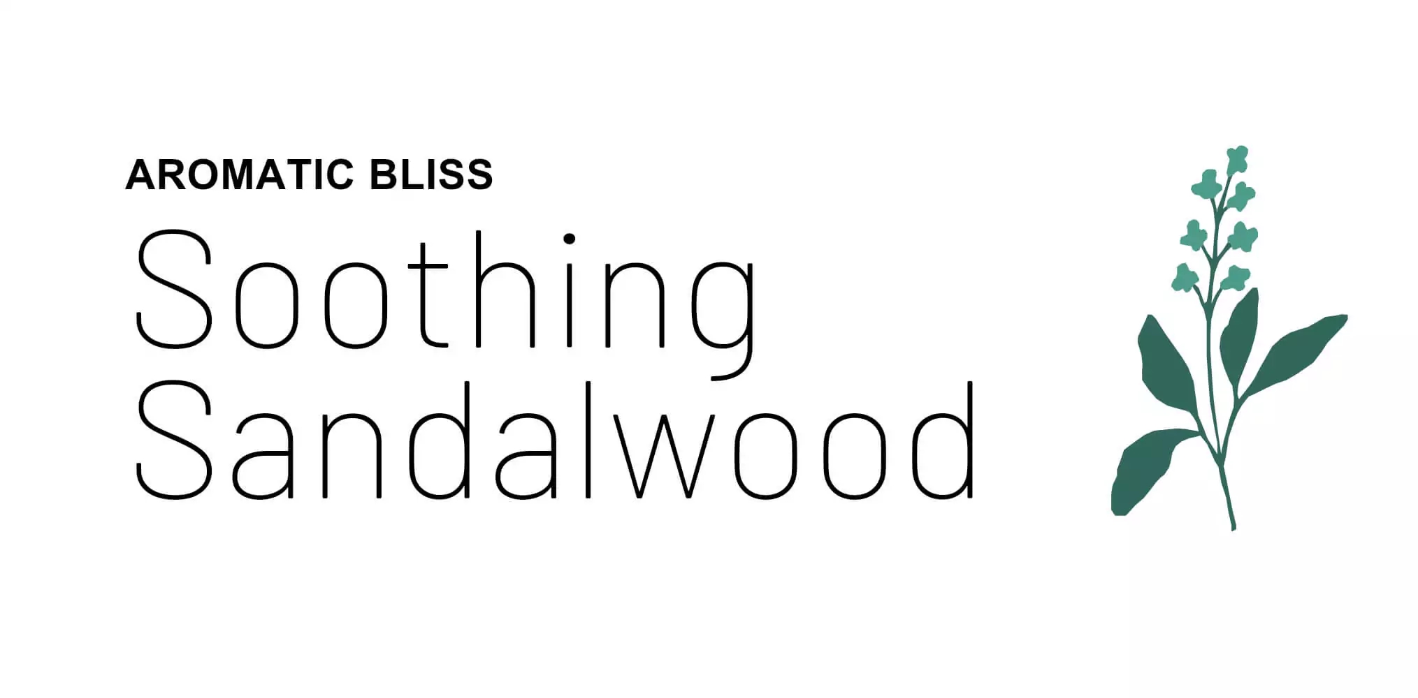 White Sandalwood Organic Skincare Products