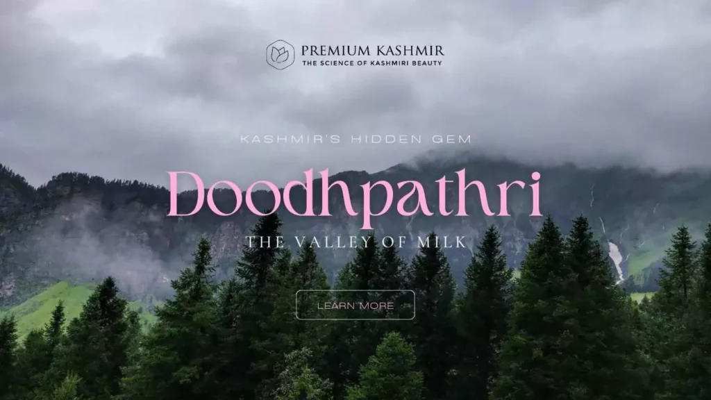 Read more about the article Doodhpathri: Kashmir’s Hidden Gem – Unveiling the Valley of Milk