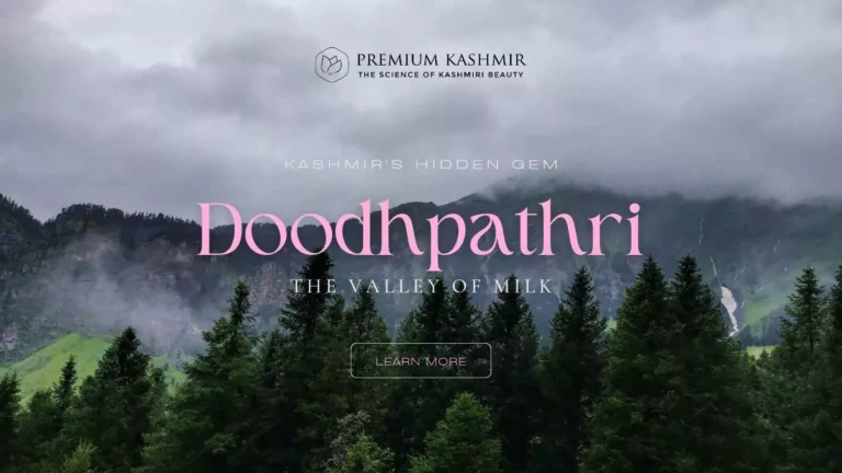 Read more about the article Doodhpathri: Kashmir’s Hidden Gem – Unveiling the Valley of Milk