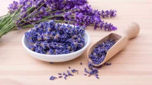 Lavender