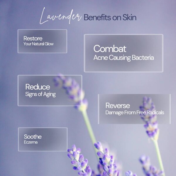 Lavender Face Pack 30g